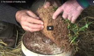 healthy soil video.jpg
