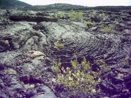 pahoehoe lava ancient.JPG