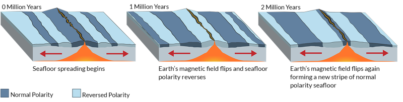 magnetic polarity