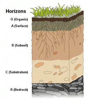 soil horizons
