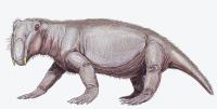 Lystrosaurus