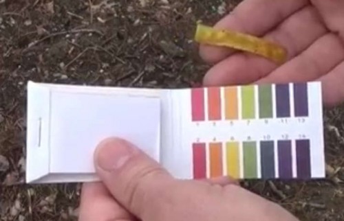 soil ph test