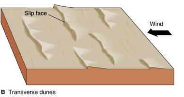 Transverse dune diagram