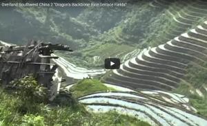 rice terraces soil conservation.jpg