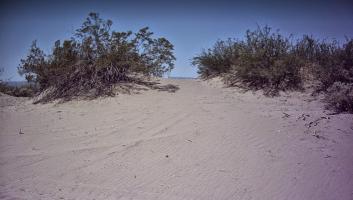 sand dune formation.jpg