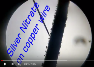 silver nitrate crystal growth video.png