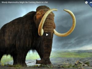 wooly mammoth facts.jpg