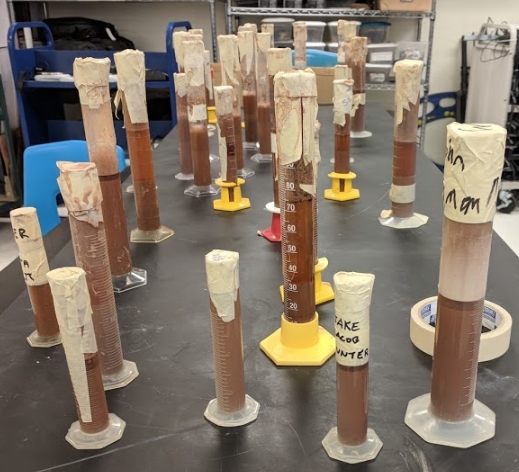 soil samples lab.jpg